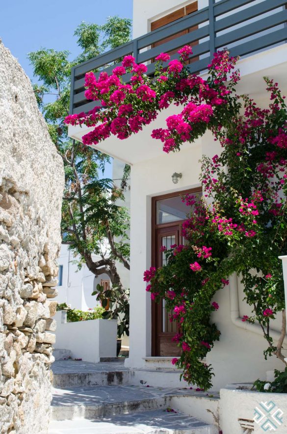 10 Reasons to Visit Naxos - Passion for Hospitality