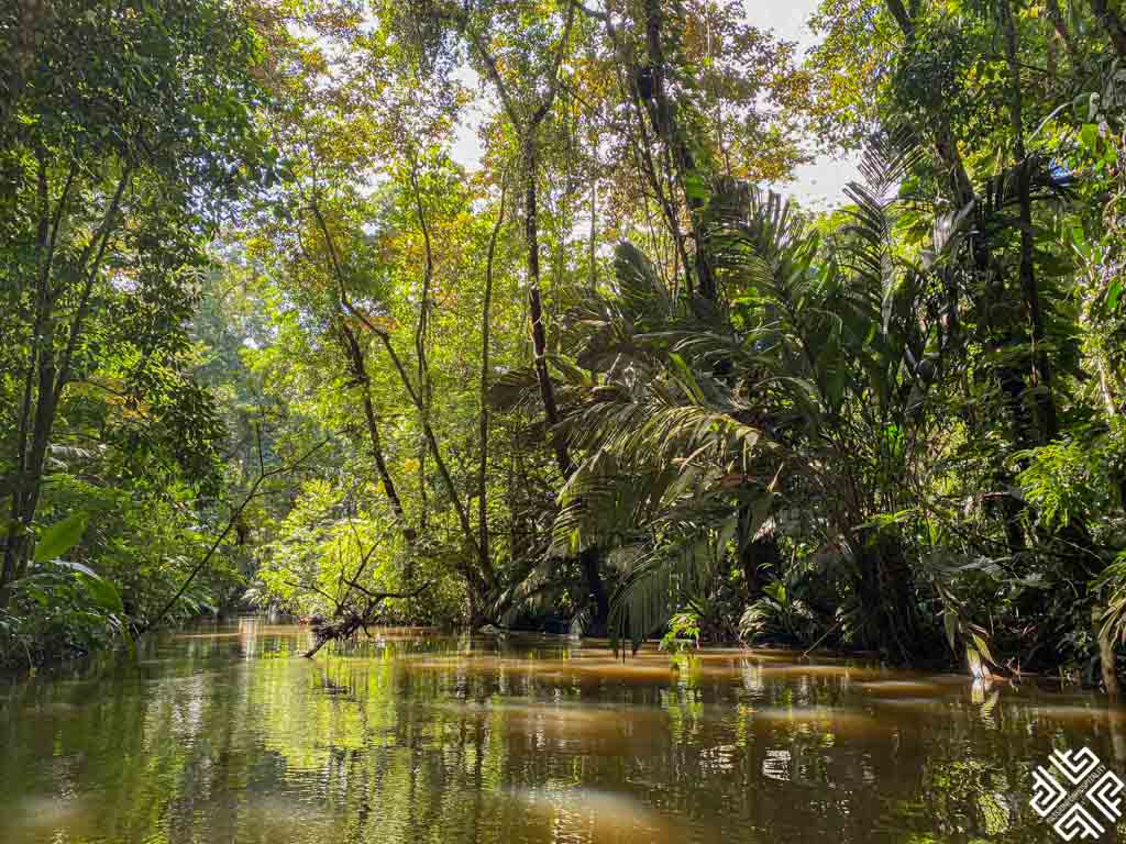 Tortuguero National Park in Costa Rica 